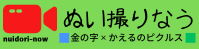 ぬい撮りなう