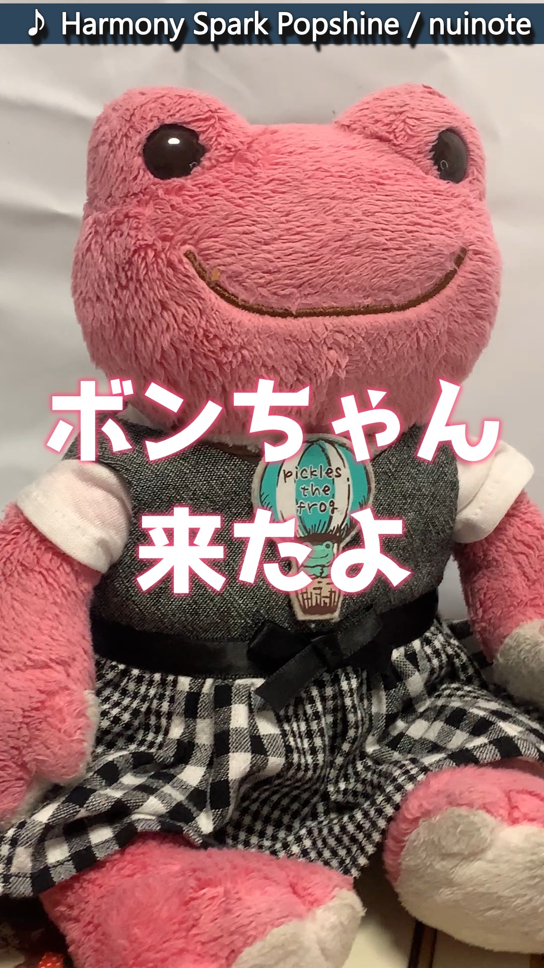 ボンボヤさんあらため、ボンちゃん