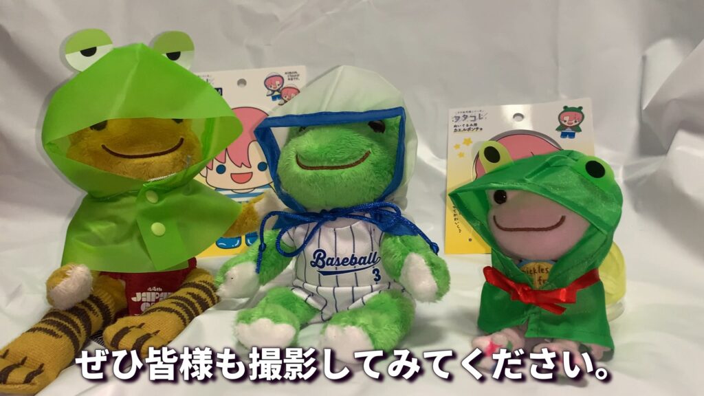 雨の日にしか撮れない一枚 ぬい活撮影 レインポンチョ かえるのピクルス