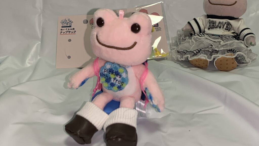 ナップサック着用・横から見た様子