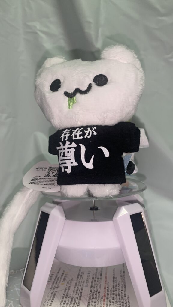 文字Tシャツを着用したにゃーちゃ、のぬいぐるみ