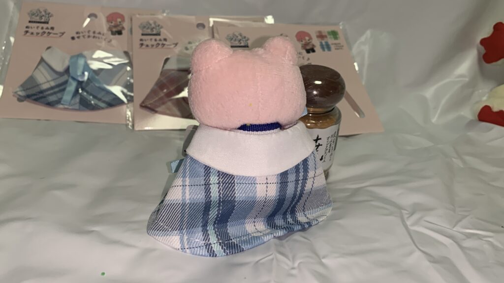 チェックケープを着たかえるのピクルスの正面コーデ