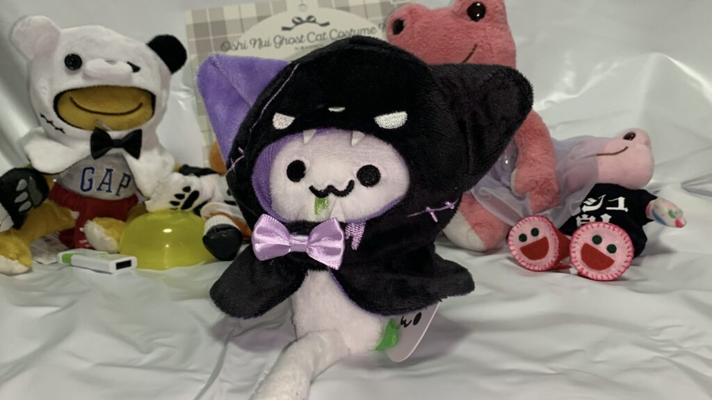 おばけねこ：Mを着たにゃーちゃ、