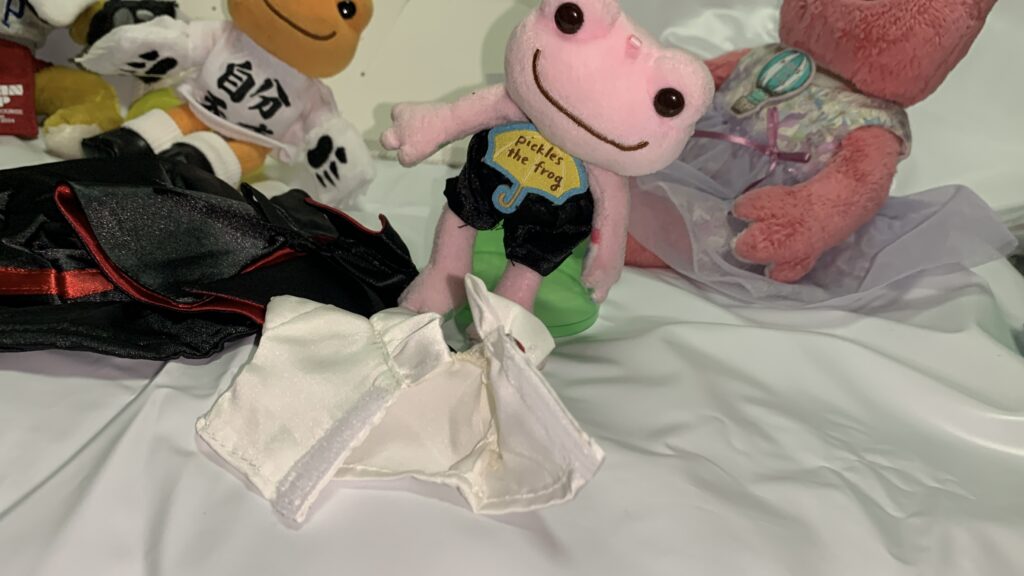 ドラキュラ:Mのシャツをマジックテープで留めたマスコットピクルス
