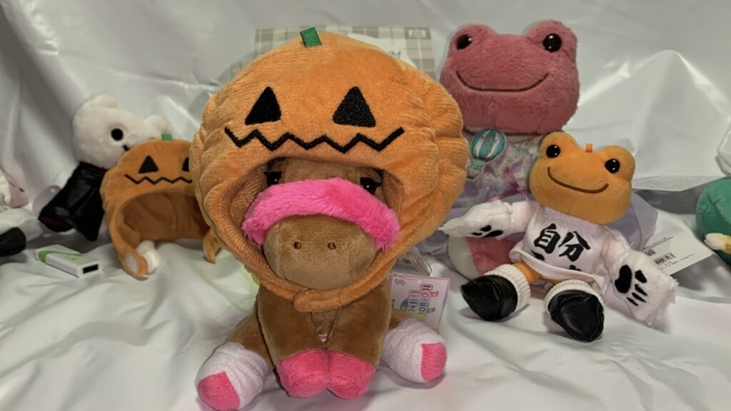 かぼちゃかぶりもの:Sをかぶったたかたん